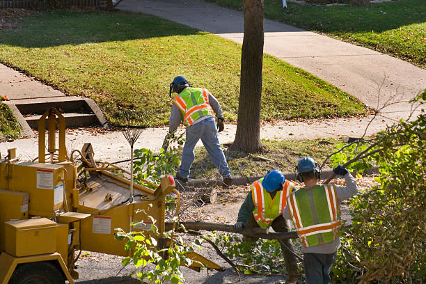 Best Lawn Watering Services  in East St Louis, IL